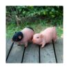 Estatua de gnomos de jardín de animales con bonito cerdo_4