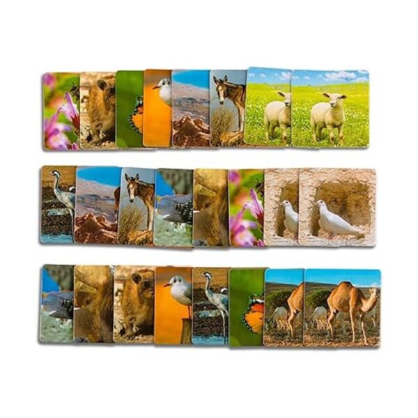 Juego de tarjetas de memoria de animales bíblicos_2