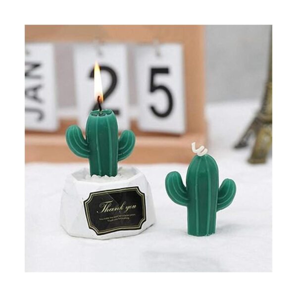 Moldes de vela de silicona 3D cactus plantas suculentas