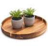 Kurrajong Farmhouse Plantas falsas Juego de dos_3