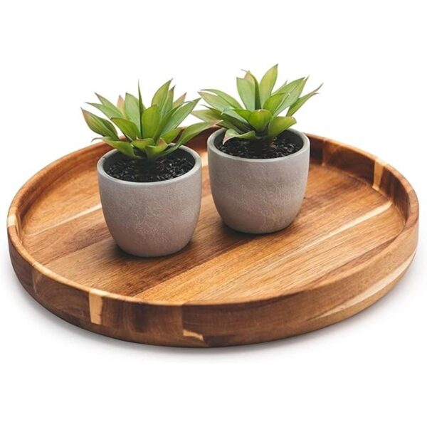 Kurrajong Farmhouse Plantas falsas Juego de dos_3