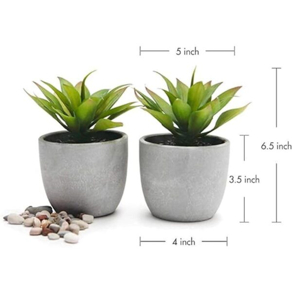 Kurrajong Farmhouse Plantas falsas Juego de dos_2