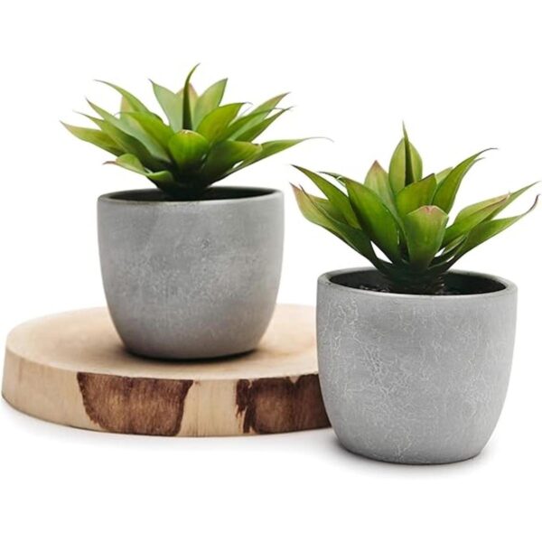 Kurrajong Farmhouse Plantas falsas Juego de dos_1