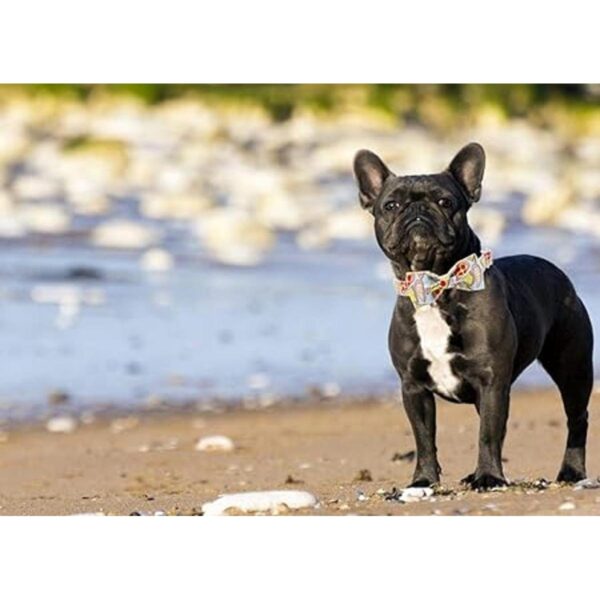 Unique Style Paws Collar de perro con lazo collar