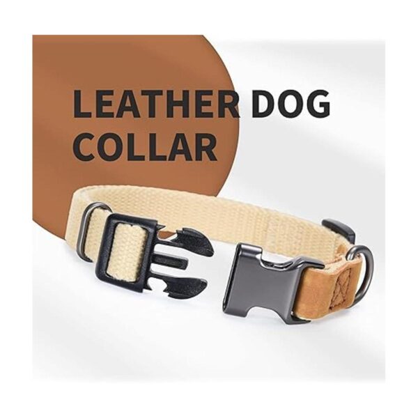 Mile High Life Collar de cuero para perro colección