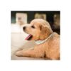 KUDES Collares de perlas para perros y gatos con diamantes