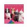 KUDES Collares de perlas para perros y gatos con diamantes