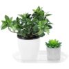 Riefie Platillo de plástico para plantas en interiores y_5