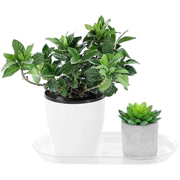 Riefie Platillo de plástico para plantas en interiores y_5