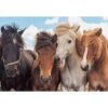Rompecabezas para niños RAVENSBURGER 05148 Horse Love_3
