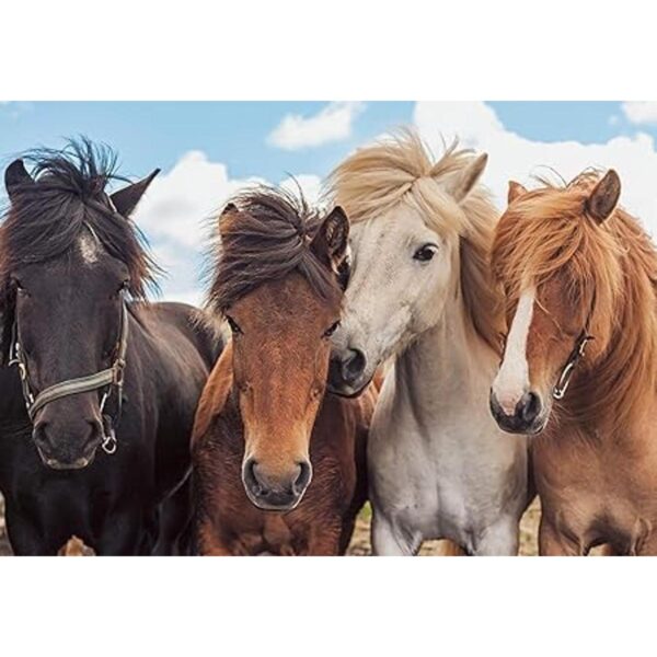Rompecabezas para niños RAVENSBURGER 05148 Horse Love_3