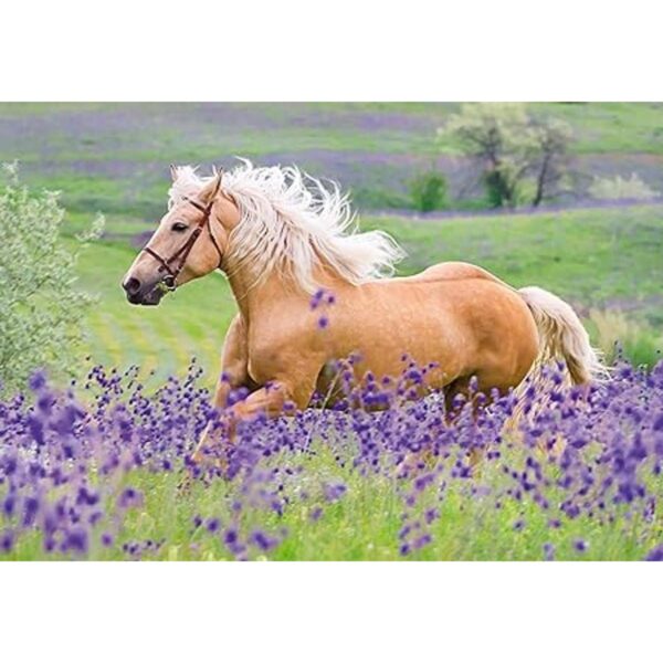Rompecabezas para niños RAVENSBURGER 05148 Horse Love_4