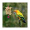 Suruikei Juego de 2 plataformas de perca para pájaros