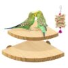 Suruikei Juego de 2 plataformas de perca para pájaros