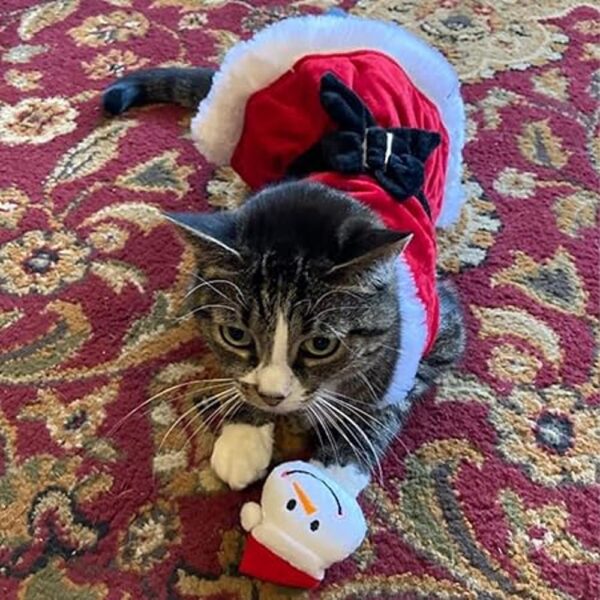 Smokeys Stash Juguetes de Navidad para gatos de hierba