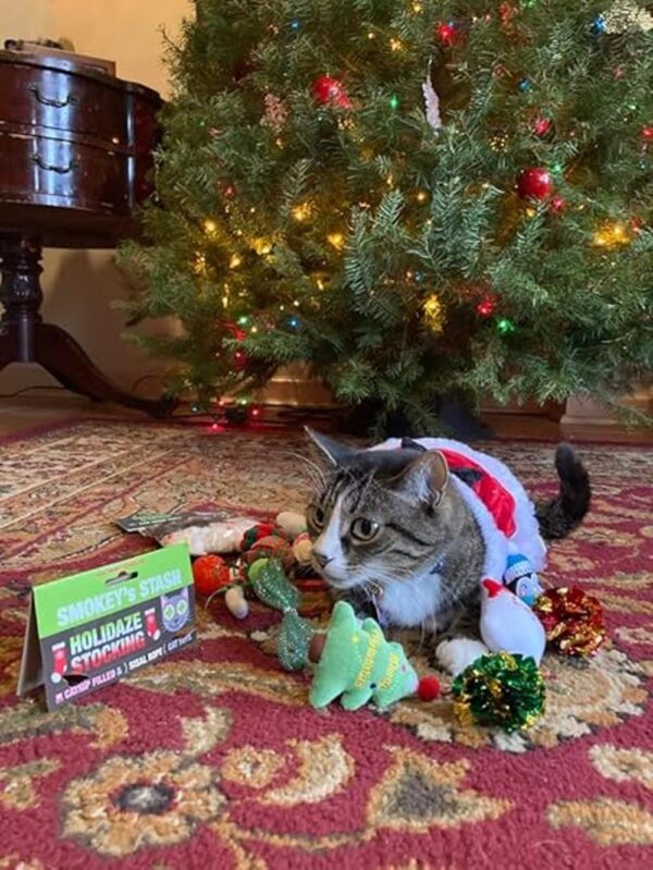 Smokeys Stash Juguetes de Navidad para gatos de hierba