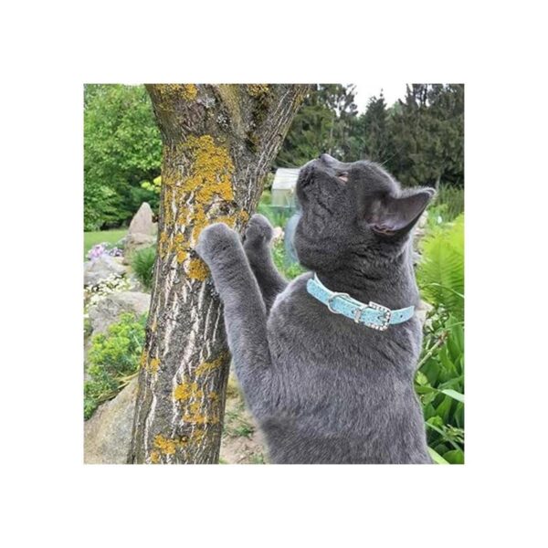 Urieo Collares de seguridad para gatos de piel plateada