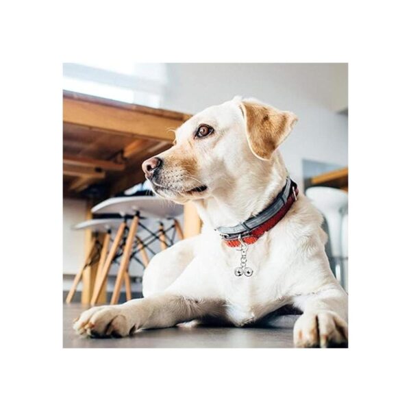 KITTAIL Campanas para collares de perro Paquete de 2