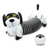 Dollox robot perro perro perro perro perro perro perro_1