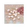 Kissitty 100 cuentas de perlas naturales de color concha