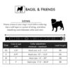 Juego de collar y correa para perros a juego Black_6