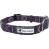 Juego de collar y correa para perros a juego Black_2