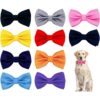 PET SHOW 10 piezas de 2.5 x 4.5 pulgadas grandes collar de_1