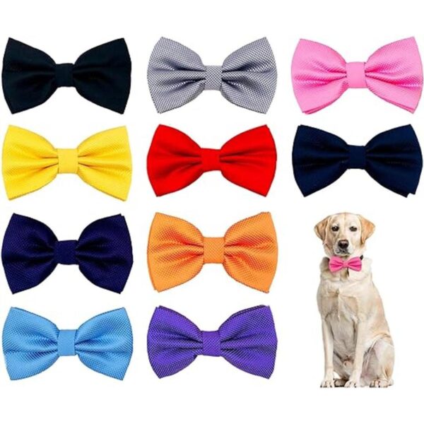 PET SHOW 10 piezas de 2.5 x 4.5 pulgadas grandes collar de_1