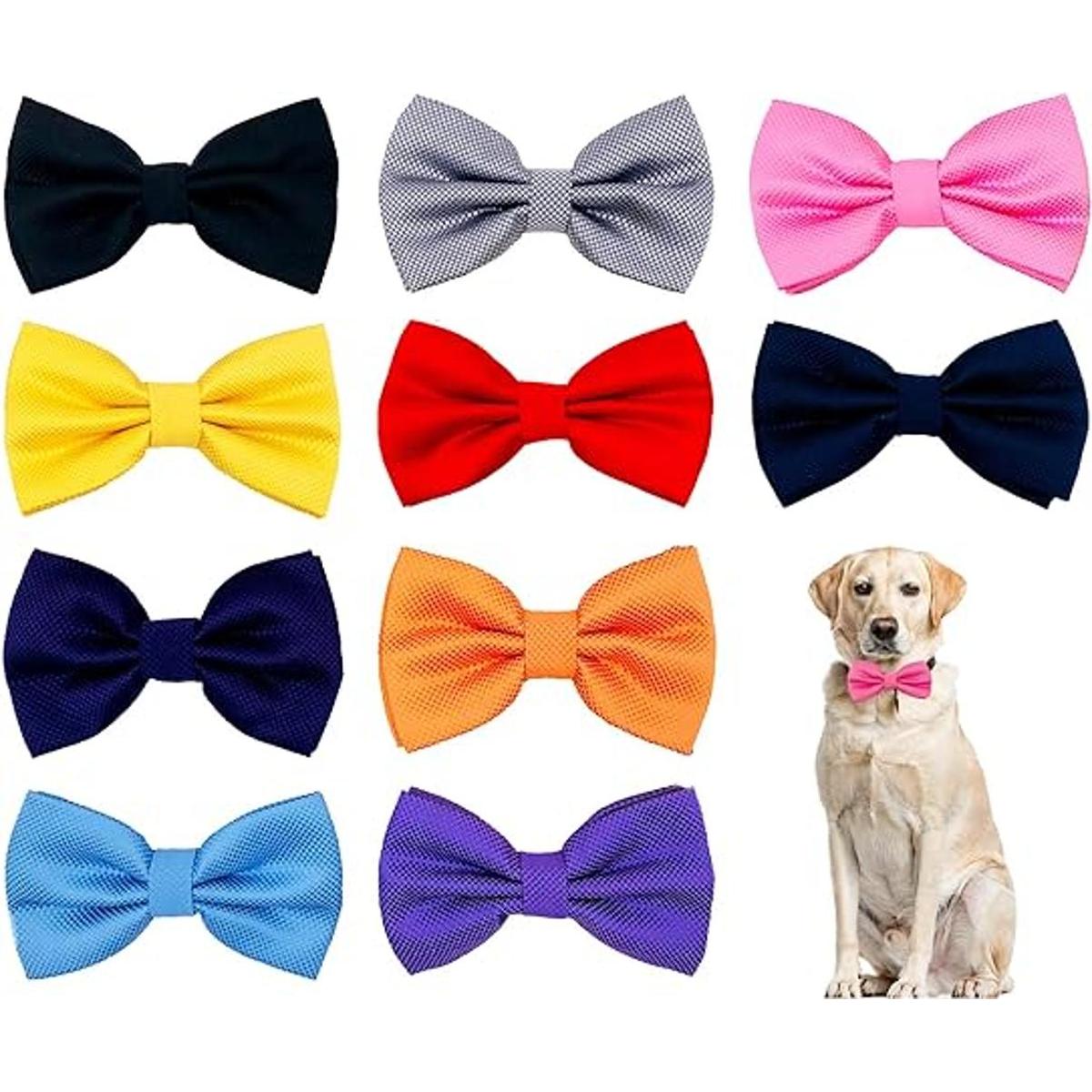 PET SHOW 10 piezas de 2.5 x 4.5 pulgadas grandes collar de