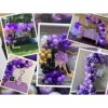 Kit de 100 globos de tonos morados guirnalda de arco de 5_3
